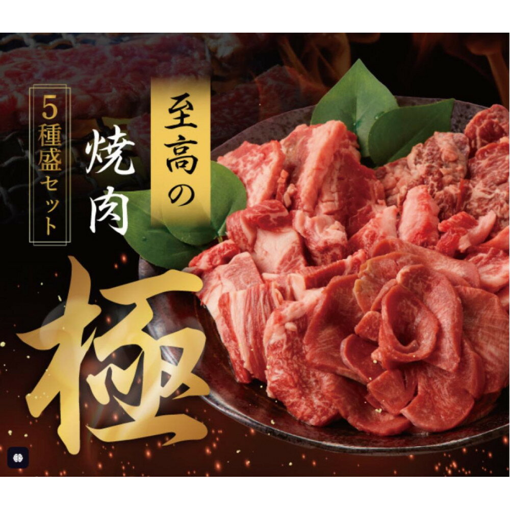 【ふるさと納税】至高の焼肉　極　5種盛りセット　合計500g | 肉 お肉 にく 食品 ギフト 人気 おすすめ 送料無料