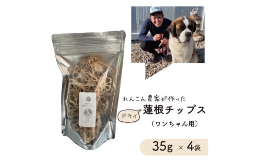 レンコン 農家が作った ワンちゃん用 ドライ 蓮根チップス 35g × 4袋 犬用 ドックフード れんこんチップス レンコンチップス 犬用おやつ