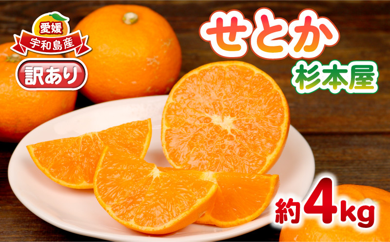
            訳あり せとか 約4kg 柑橘の大トロ 杉本屋 先行予約 わけあり 訳アリ 訳あり品 果物 くだもの フルーツ 愛媛ミカン 愛媛蜜柑 愛媛みかん 高級 希少 mikan 蜜柑 みかん ミカン 濃厚 甘み 愛媛県産 柑橘 産地直送 数量限定 国産 愛媛 宇和島 B010-143016
          