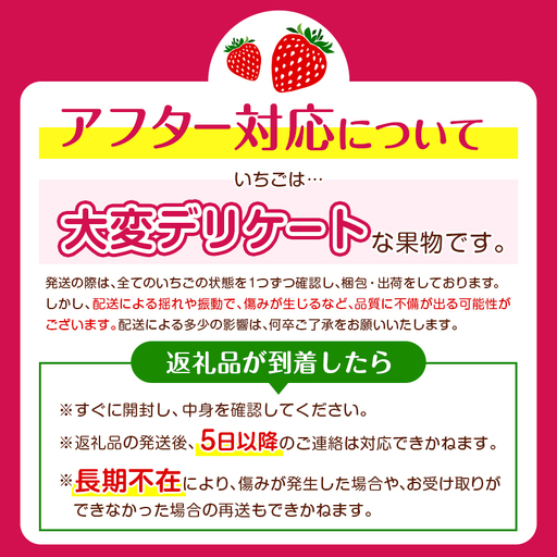 ＜2027年出荷＞先行予約 宮崎県産 いちご「ゆめのか」計1kg フルーツ 期間限定 デザート ご褒美【B701】