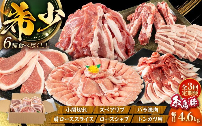 【全3回定期便】合計4.6kg！糸島豚食べ尽くしセット(とんかつ、肩ロース、しゃぶしゃぶ、豚バラ、スペアリブ、小間切れ) 糸島市 / トラヤミートセンター 豚肉 セット[AJD023]