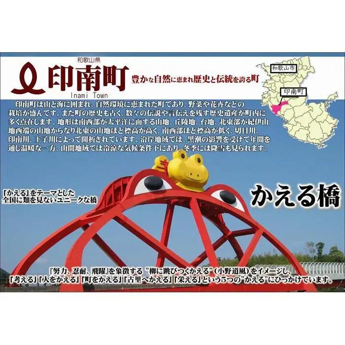 訳あり 梅干し　ご家庭用 紀州南高梅 はちみつ漬つぶれ梅 1.2kg （600g×2パック）