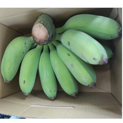 ふるさと納税 糸満市 アップルバナナ4.8kg もちもち食感 りんごのような爽やかな風味 甘さとほのかな酸味のハーモーニー