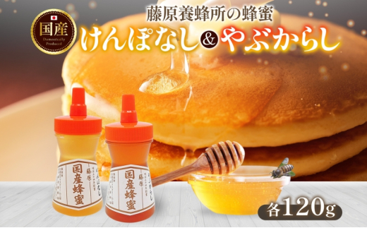 はちみつ けんぽなし やぶからし 計240g 藤原国産蜂蜜 食べ比べ セット 国産はちみつ 純粋 天然 無添加 ヤブカラシ 玄圃梨 単花蜜 朝しぼり 完熟 ハチミツ パン 菓子 トースト ホットケーキ ヨーグルト 調味料 隠し味 朝食 岩手県 盛岡市 東北 岩手 盛岡 藤原養蜂場