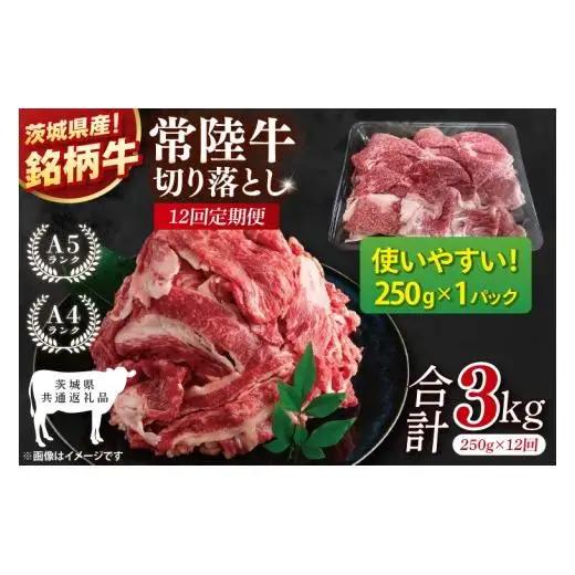 【茨城県共通返礼品】【12ヶ月定期便】お試しサイズ！常陸牛切り落とし 250g【黒毛和牛 国産 銘柄牛 牛肉 肉 冷凍 茨城県産】(81-25)