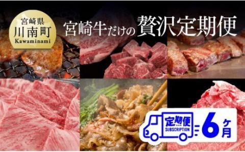 【定期便】 肉質等級4等級以上 宮崎牛だけの 贅沢定期便 6ヶ月コース　牛肉[G7427]