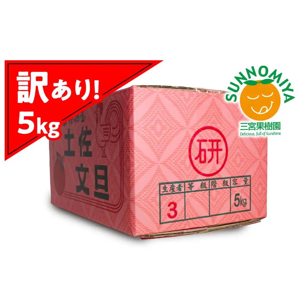 【先行予約】三宮果樹園の土佐文旦 訳あり 5kg〈2027年2月14日から2027年3月15日発送〉高知県 土佐市【三宮果樹園】[BQAP005]