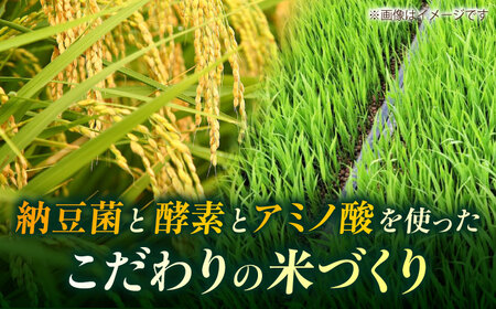 【先行予約】《2025年10月より順次発送》 こば農園のお米 くまさんの輝き 『山鹿湧水米』 白米 10kg 【合同会社 こば農園】[ZFO003]