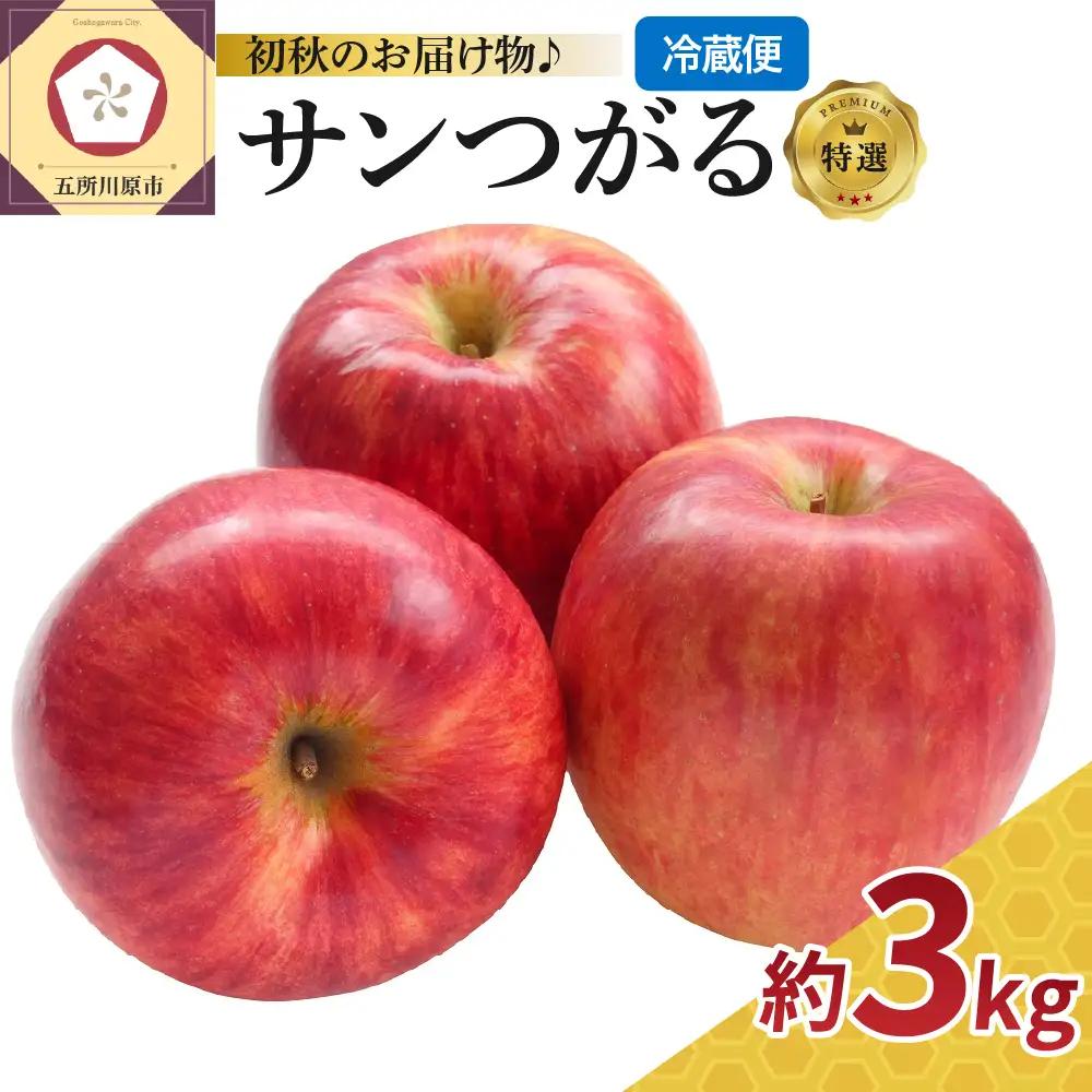 【9月発送】 りんご 3kg サンつがる ≪特選≫ 青森県産 りんご