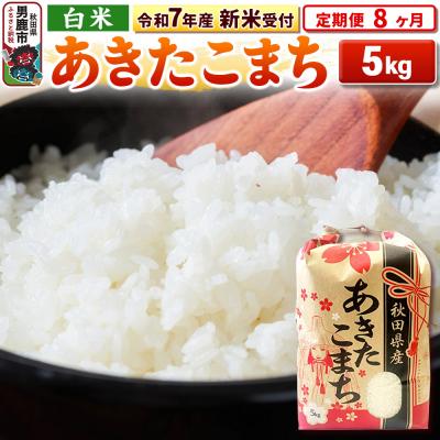 ふるさと納税 男鹿市 新米受付《定期便8ヶ月》【白米】秋田県産 あきたこまち 5kg|23_kml-030508s