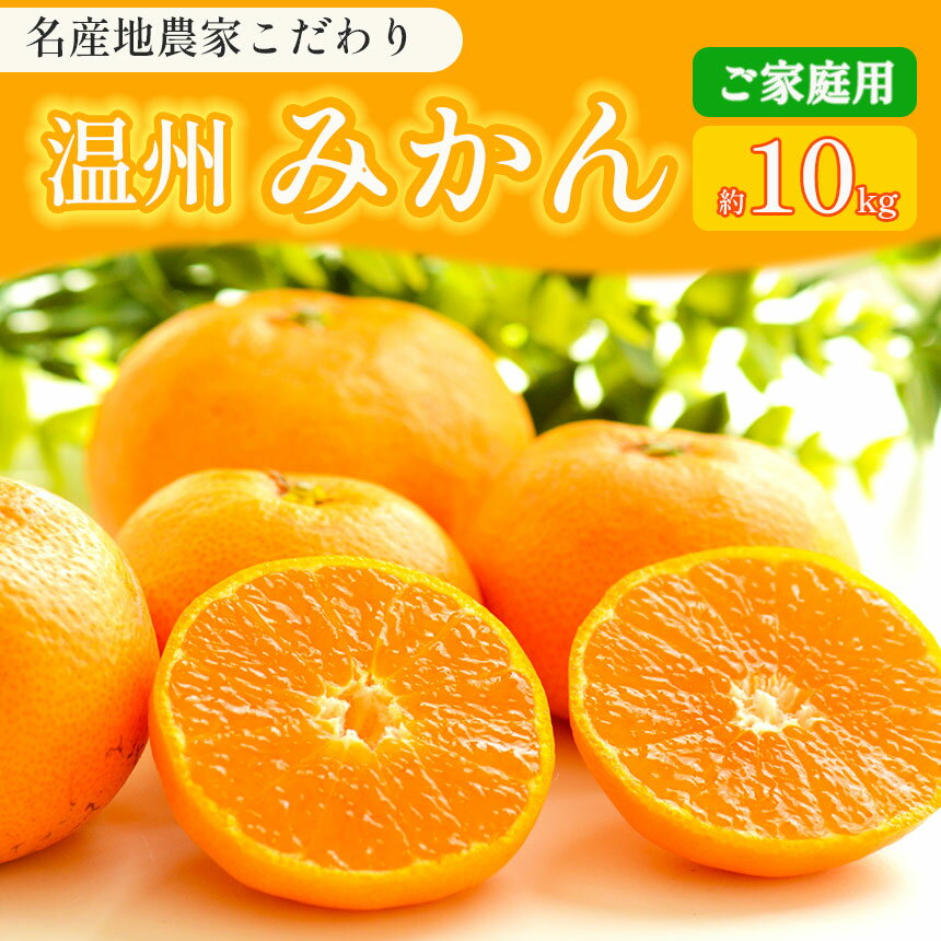 【ふるさと納税】 こだわり 家庭用 みかん 柑橘 ミカン 10kg | 果物 くだもの フルーツ 柑橘 柑橘類 みかん 温州 玉名 熊本 下田農園 生産者直送 産地直送 熊本玉名 送料無料