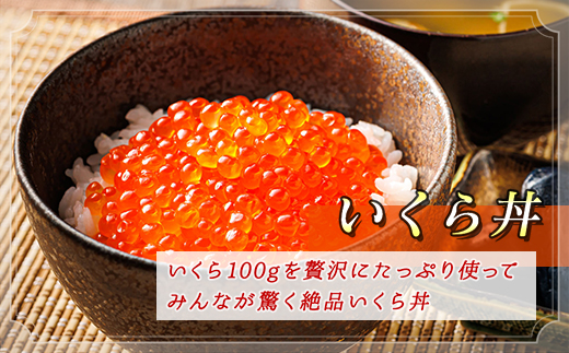 北海道産 塩いくら 500g  | 国産 北海道産 いくら塩漬け いくら イクラ ikura 天然 鮭 サーモン 鮭卵 鮭いくら 北海道 昆布のまち 釧路町 笹谷商店 直営 釧之助本店 人気 の訳あり