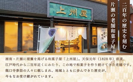 【もなか】 8個入 富士山と江ノ島もなか 和菓子