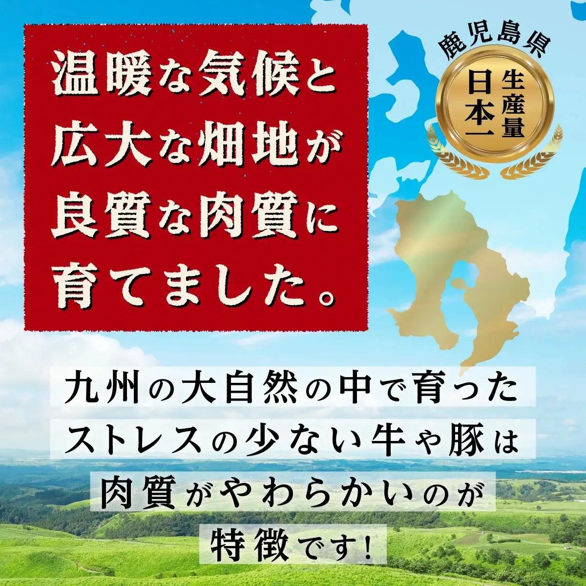 主婦の味方！九州産豚肉バラエティ定期便 （計4回）