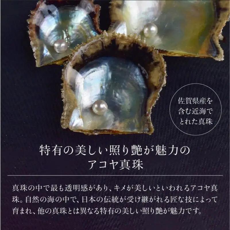 【真珠】【艶々マーメイドブルーのアコヤ真珠】8-8.5mmシルバーブルーグレー系アコヤ真珠ネックレスセット