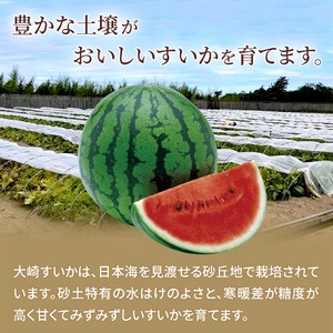 ＜2026年収穫分 先行予約＞大崎すいか 1箱（大2玉入り）|西瓜 甘い