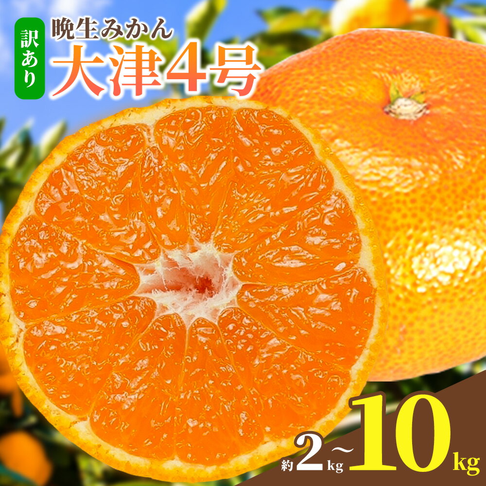 【ふるさと納税】みかん 訳あり 晩生みかん大津4号 10kg 5kg 2kg 選べる内容量 晩生みかん 石谷普朗《1月中旬-2月中旬頃出荷》和歌山県 岩出市 送料無料 果物 フルーツ 柑橘類 お取り寄せフルーツ ミカン