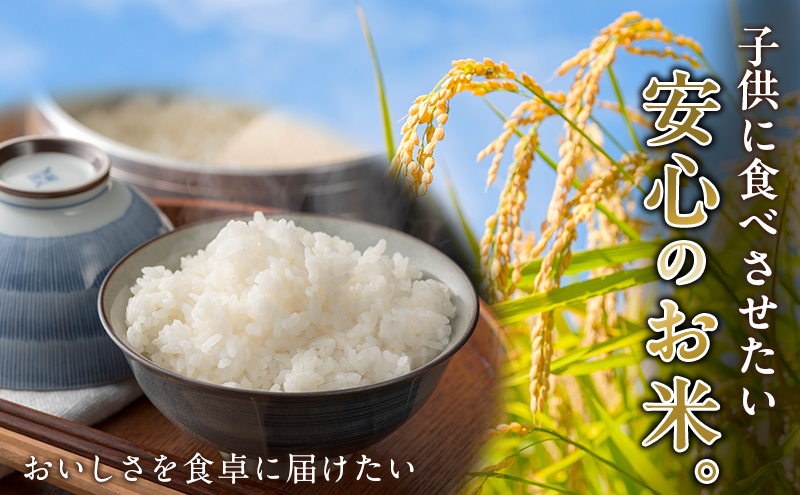令和7年度産 ミルキークイーン さかたのお米 日進市産 3kg お米 白米 ライス 精米 ご飯 おにぎり お弁当 和食 もっちり 粘り 強い 甘み 旨み