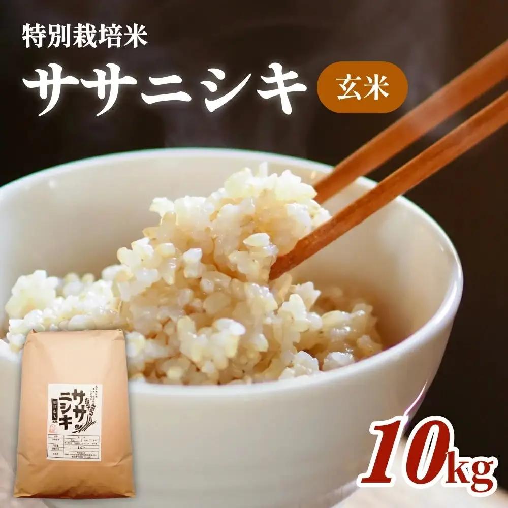 特別栽培米 ササニシキ 玄米 10kg