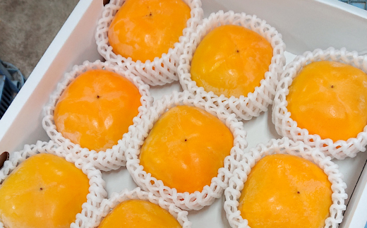 国城観光農園のたねなし柿9個入り(2Lサイズ)【配送不可地域：北海道・沖縄県】