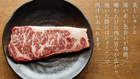上州牛 サーロイン ステーキ720g ( 180g × 2枚  × 2P ) サーロインステーキ [AH043tu]