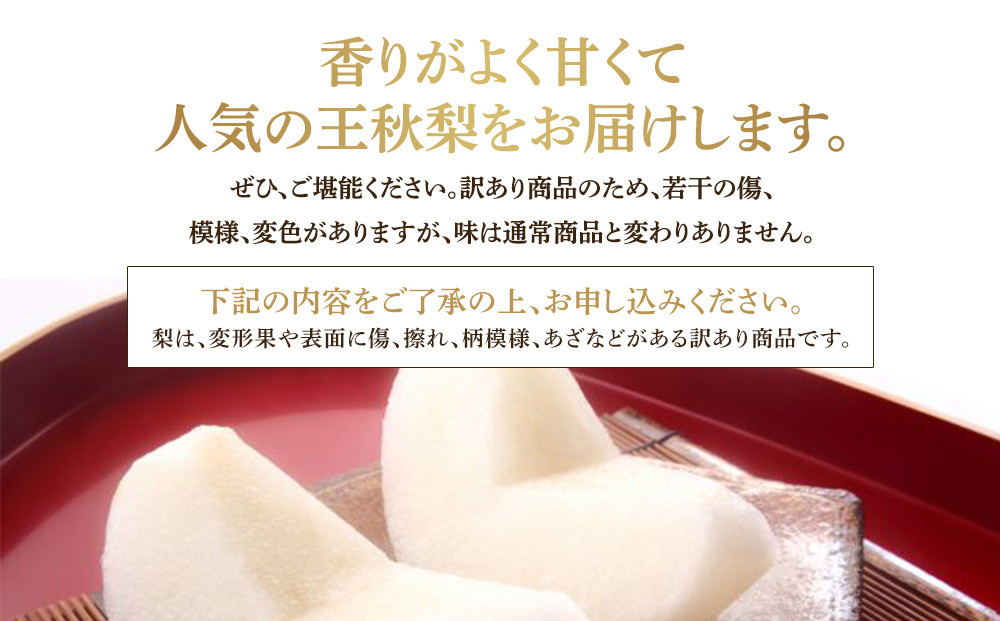 【先行予約】【訳あり】王秋梨 4kg（4～13玉前後）≪果物 フルーツ くだもの≫　※2026年10月下旬～12月上旬頃に順次発送予定