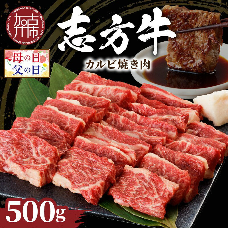 【ふるさと納税】＼母の日・父の日／★選べる発送月★志方牛カルビ焼肉(500g)《 牛肉 牛 和牛 国産 焼肉 おすすめ カルビ 赤身 美味しい バーベキュー 志方牛 送料無料 お取り寄せ 選べる 選べる発送月 選べる発送月 贈答用 ギフト 贈り物 》