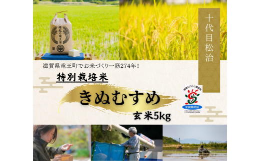 米 きぬむすめ 玄米 5kg 縁起の竜王米 ( 令和7年産米 玄米 5kg おこめ ごはん 米 特別栽培米 ブランド米 ライス こだわり米 ギフト 国産 縁起の竜王米 滋賀県竜王町 )