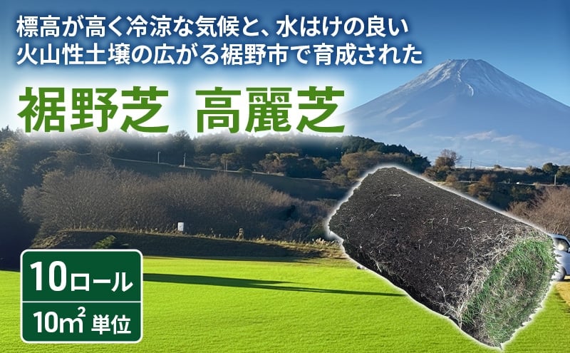 
            裾野芝（高麗芝）10ロール（10m2）単位　芝 芝生 ガーデニング DIY 庭 天然 天然芝 最高級 裾野市 静岡県 [№5812-0841]
          