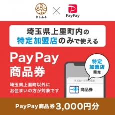 埼玉県上里町　PayPay商品券(3,000円分)※地域内の一部の加盟店のみで利用可