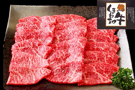 D-1029 しまね和牛 モモ(焼肉用) 1.3kg