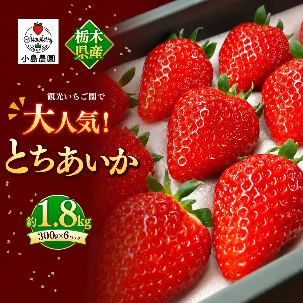 【2027年先行予約】観光農園で大人気！とちあいか 約1.8kg