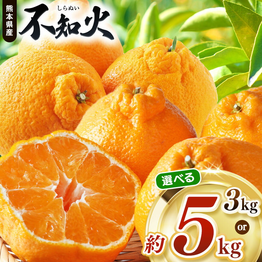 【ふるさと納税】【 先行予約 】 選べる内容量 不知火 約 5kg or 3kg 池田ファーム | デコポン しらぬい フルーツ 和製 果物 熊本県産 熊本県 熊本 くまもと 和水町 なごみまち なごみ 柑橘類 果物 フルーツ