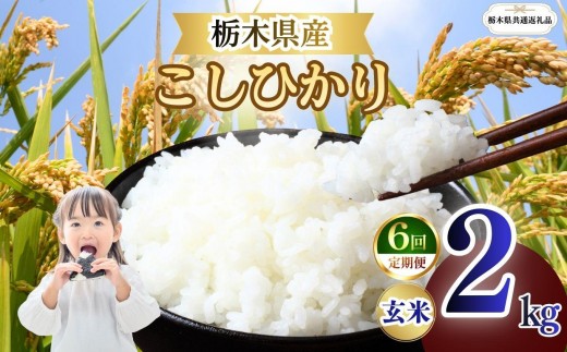 
                  【定期便6回】栃木県産 こしひかり 玄米 2kg 2026年 先行予約 | 栃木県 矢板市
                