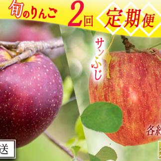 季節のりんご 【定期便】 旬の2品種 5kg × 2回 秀～特秀 渡辺農園 沖縄へは配送不可  2025年10月上旬から発送予定 長野県 飯綱町 [1936]