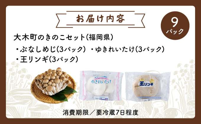 食欲の秋！きのこの詰め合わせ(ぶなしめじ・ゆきれいたけ・王リンギ各3パック)AT16