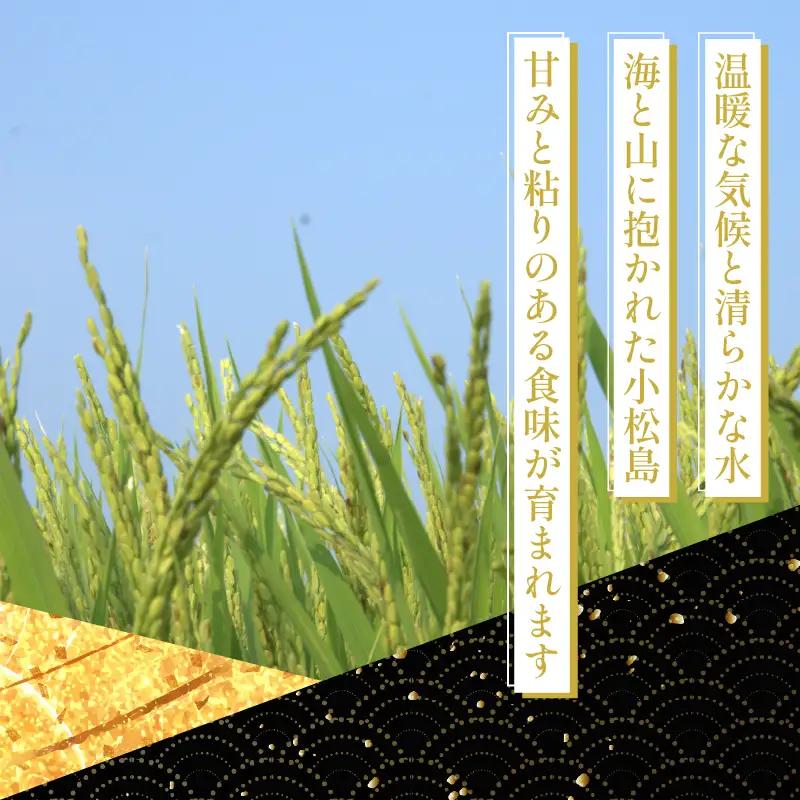 【令和8年産】新米 玄米 コシヒカリ3kg 米 こめ お米 産地直送 小松島市
