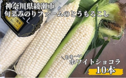 とうもろこし 旬菜みのりファーム あま～い ホワイトショコラ 10本  