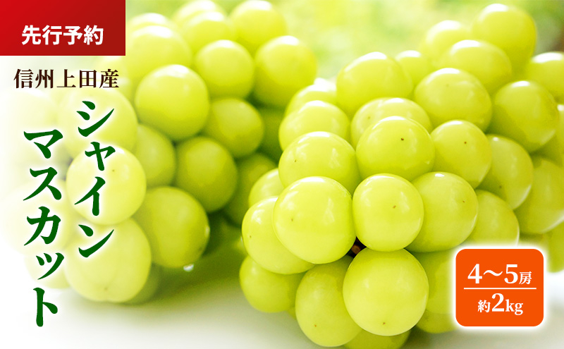 
                  シャインマスカット 信州上田産 約2kg 4～5房 ぶどう ブドウ 葡萄 マスカット 2kg 果物 くだもの フルーツ デザート 旬の果物 旬のフルーツ 長野県 長野 上田市[№5312-1366]
                