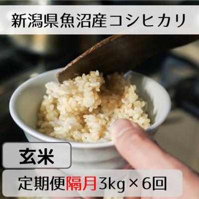 ふるさと納税 十日町市 【2ヵ月毎定期便】新潟県魚沼産コシヒカリ「山清水米」玄米3kg全6回