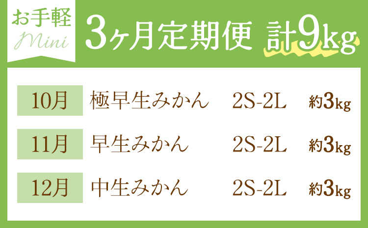 【3ヶ月定期便】みかん 定期便 秀品 温州みかん ミニ 計9kg 日本フルーツ株式会社《10月上旬-12月末頃出荷》熊本県 長洲町 ミカン 蜜柑 柑橘類 極早生 早生 中生 果物 フルーツ---sn_