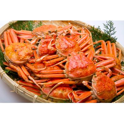 ふるさと納税 香美町 せこがに 釜茹で 冷凍 兵庫県香住産 約1.2kg(6〜10匹)【2026年11月中旬以降順次発送】 |  | 01