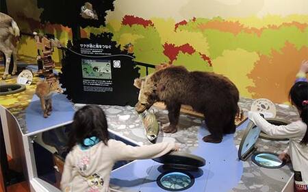 歴史と文化の北海道3館共通券 一般1名様分と北海道地域限定旅行クーポン15,000円分（Eメール発行） 人気 おすすめ 利用券 チケット F6S-521