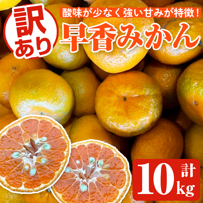 ＜先行予約受付中！2026年12月中旬以降順次発送予定＞訳あり早香みかん(計10kg) 国産 フルーツ 果物 蜜柑 柑橘 みかん 訳あり【松永青果】akn053-43