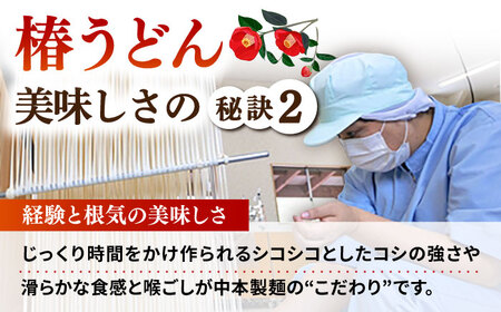 【全12回定期便】椿 うどん 300g×15袋 五島うどん 保存食 業務用【中本製麺】[RAO021]