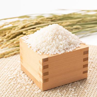 ふるさと納税 五泉市 【先行受付】令和8年産新潟県五泉市産　コシヒカリ　5kg　精米　 |  | 01