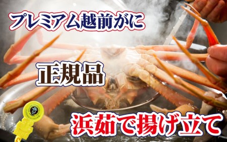 誉れ高き越前がに「皇室献上級」 × 1杯 桐箱入り！【11月発送分】【雄 ズワイガニ ずわいがに 姿 生 ボイル 冷蔵 福井県】【浜茹でお届け】希望日指定可 備考欄に希望日をご記入ください [e37-