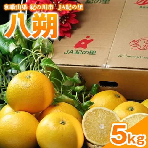 【先行予約】八朔 約5kg(3L-Lサイズ)JAわかやま 紀の里地域本部 《2027年1月上旬-3月末頃出荷》 和歌山県 紀の川市 果物 フルーツ 柑橘 はっさく---wsk_jak22_1j3m_24_10000_5kg---