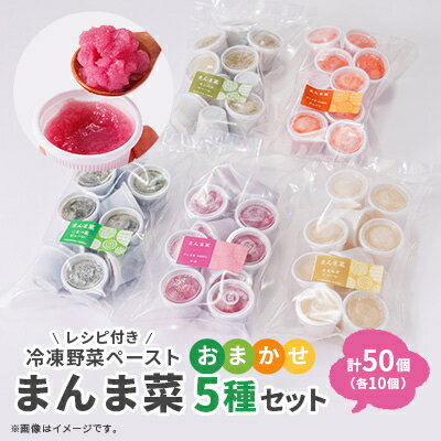 【ふるさと納税】まんま菜　冷凍野菜ペーストおまかせ5種セット【配送不可地域：離島】【1522916】