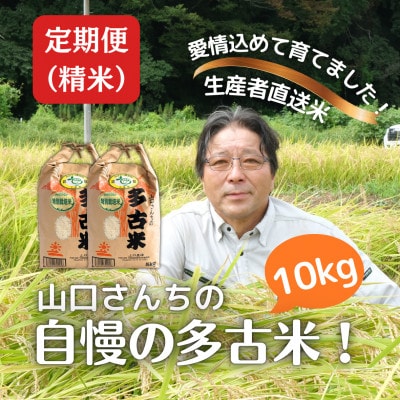 【毎月定期便】山口さんちの多古米コシヒカリ(精米)10kg全6回【配送不可地域：離島】【4079907】